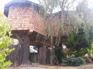 rumah-pohon-300x225