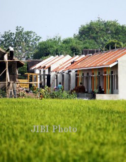 sawah1-248x320