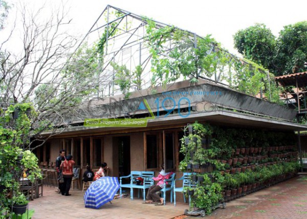 Penggunaan tanaman berdaun lebat untuk melindungi area atap dan dinding bisa mengurangi paparan sinar matahari langsung sehingga bagian dalam rumah lebih sejuk (Tri Rahayu/JIBI/Solopos)